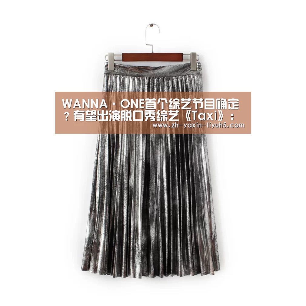 WANNA·ONE首个综艺节目确定？有望出演脱口秀综艺《Ta